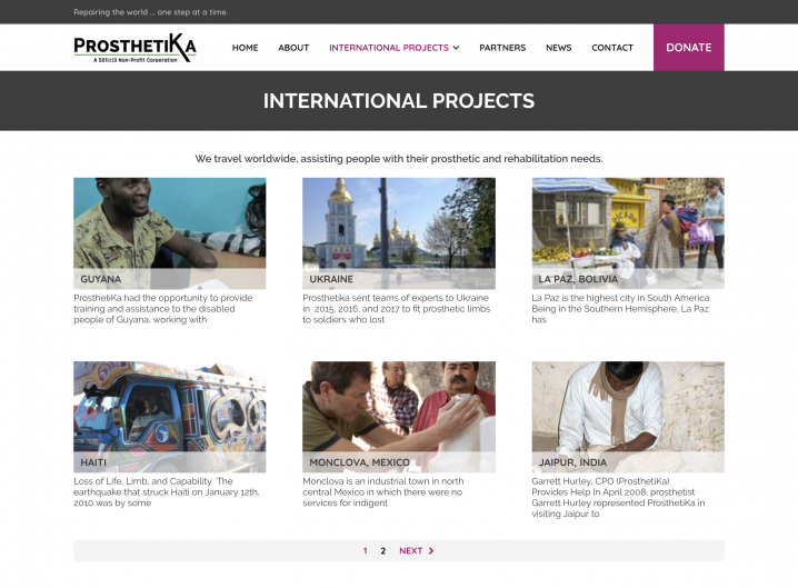 Prosthetika Project overview page